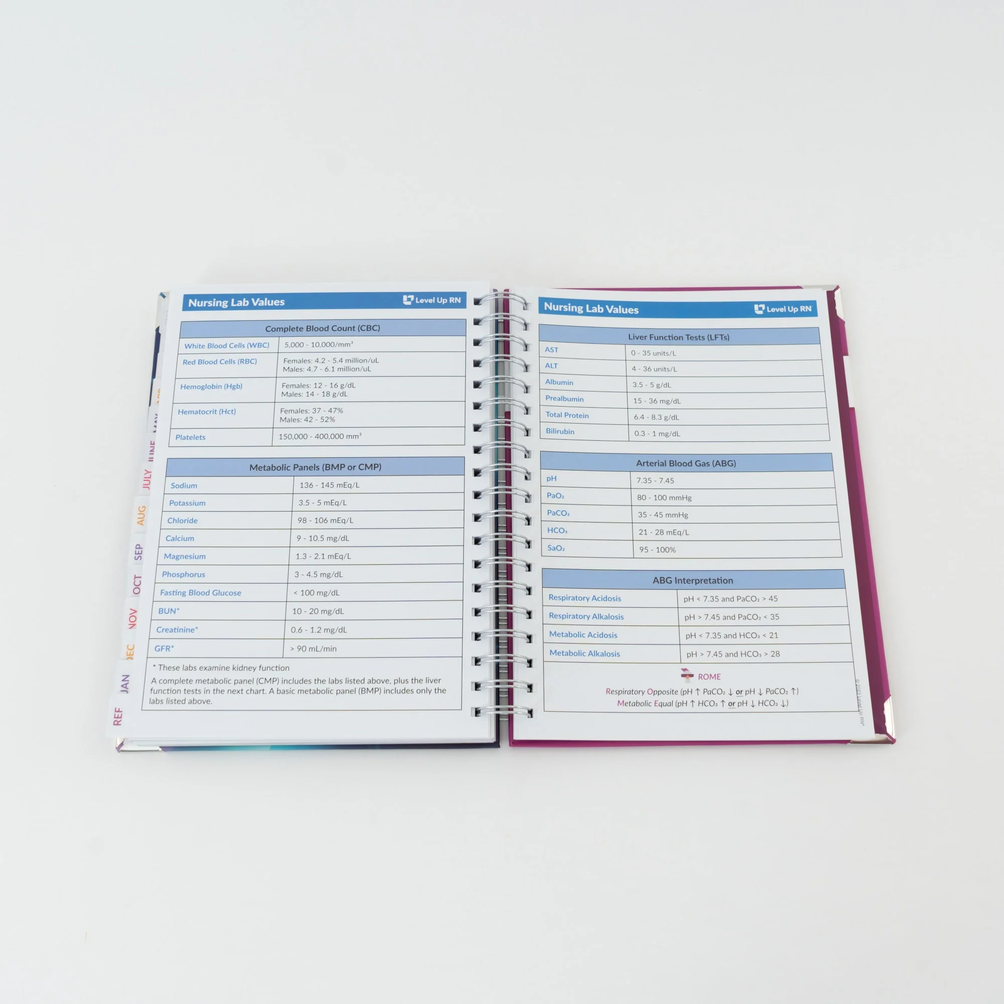 Nursing School Study Planner - Image 4